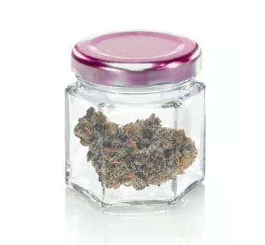 APRICOT CLOUD: APRICOT CLOUD 14G