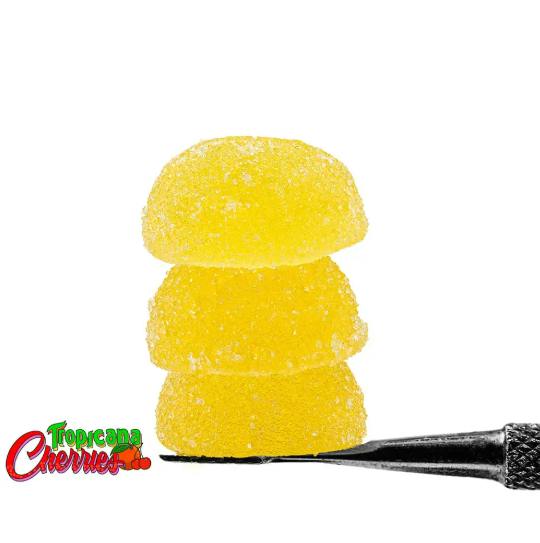 TROPICANA COOKIES ROSIN GUMMIES 100MG-10CT