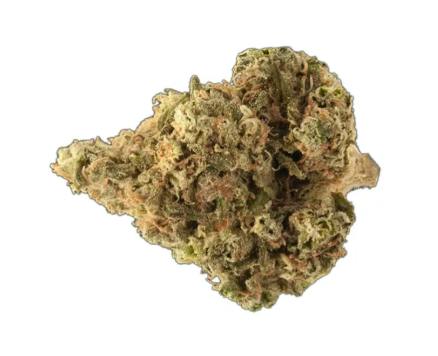 BLUE ZUSHI 7G