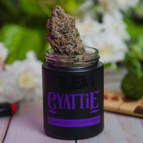 BLEM — Cyattie