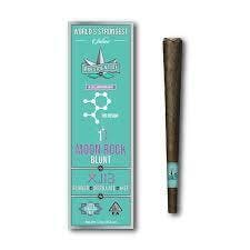 XJ-13 MOON ROCK — Blunt