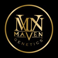 Maven Goldies: Key Lime Jack