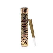 Kingroll Royale: Kingroll Royale 1.3g Sherbanger Infused Preroll