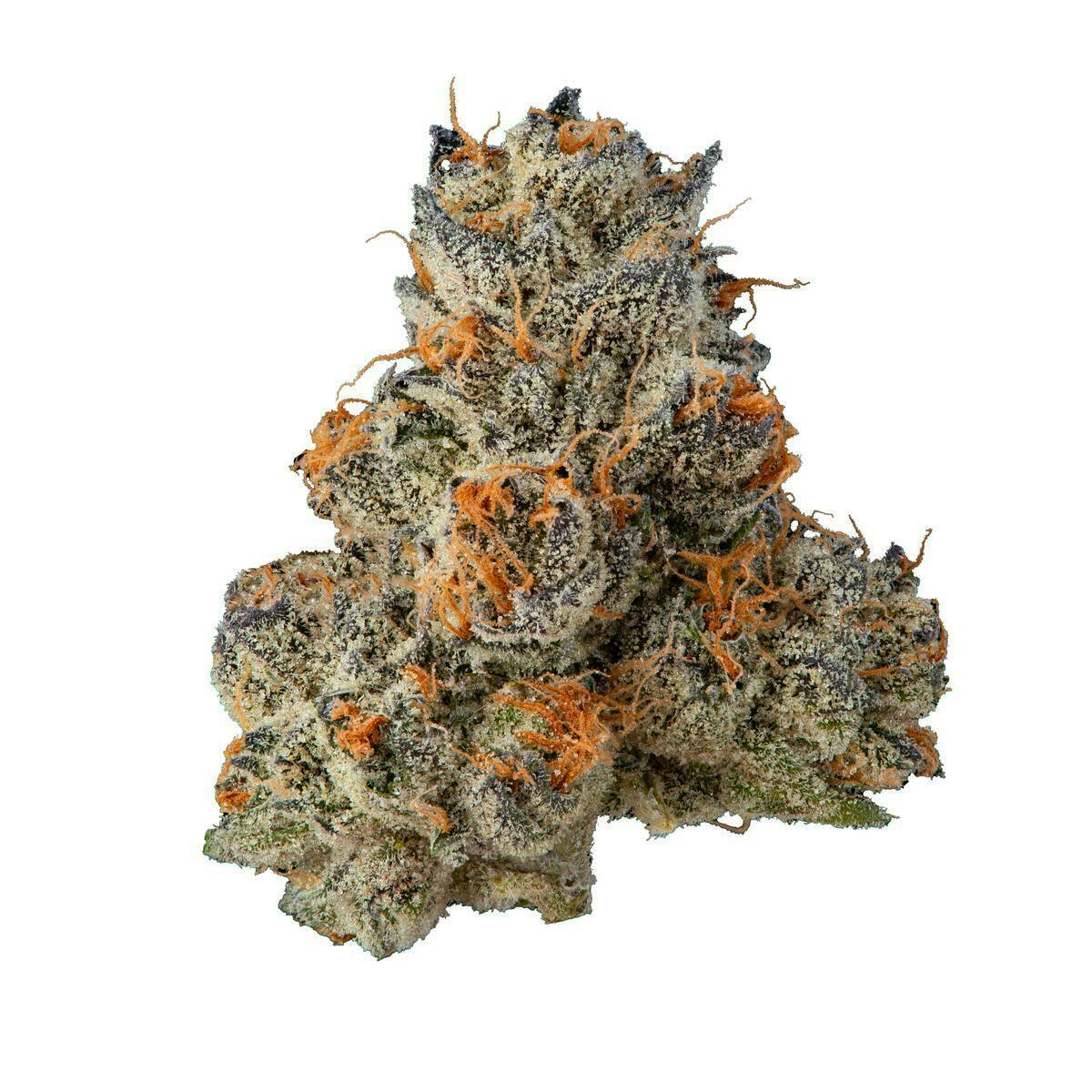 Fig Farms — Blue Face