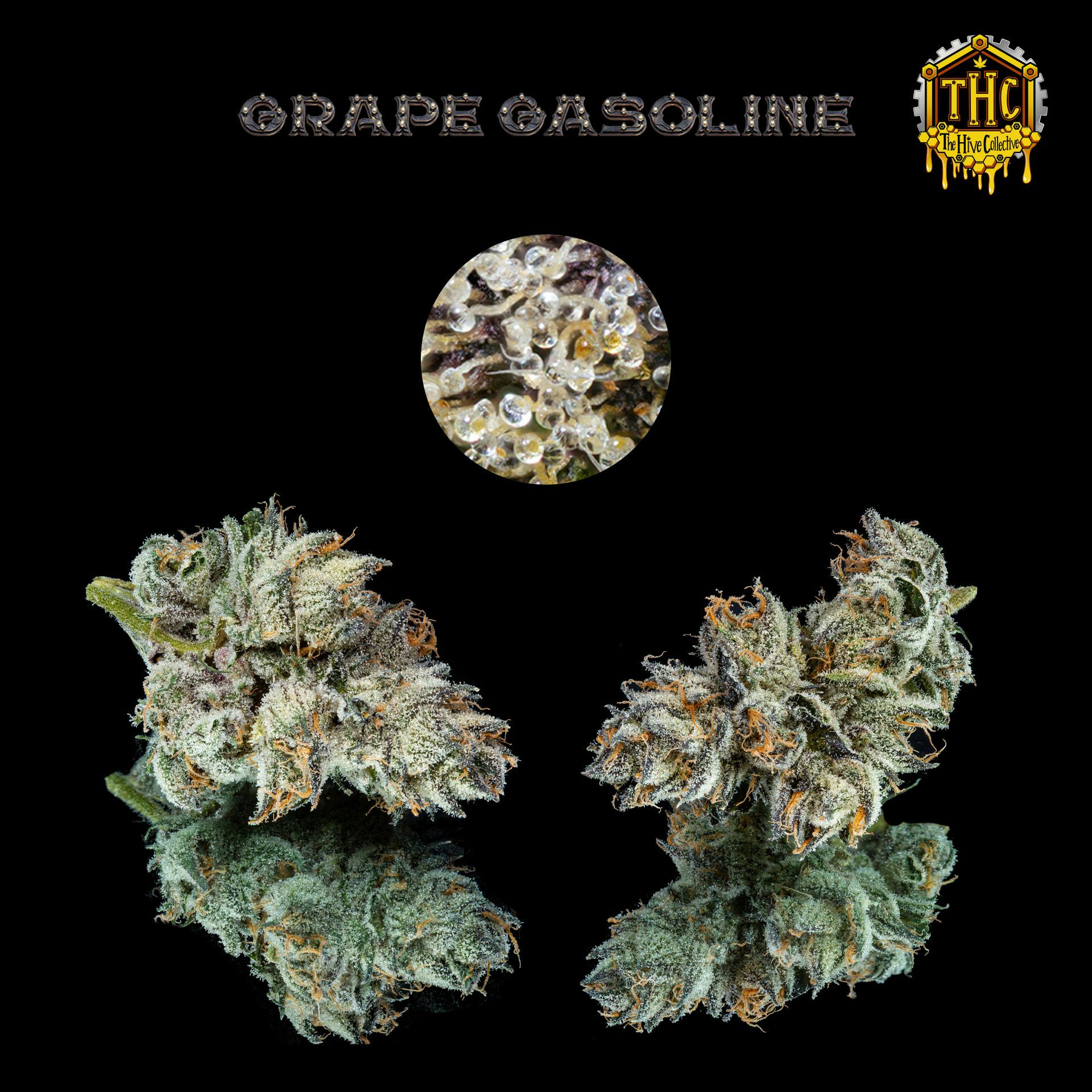 (C+) Grape Gasalato