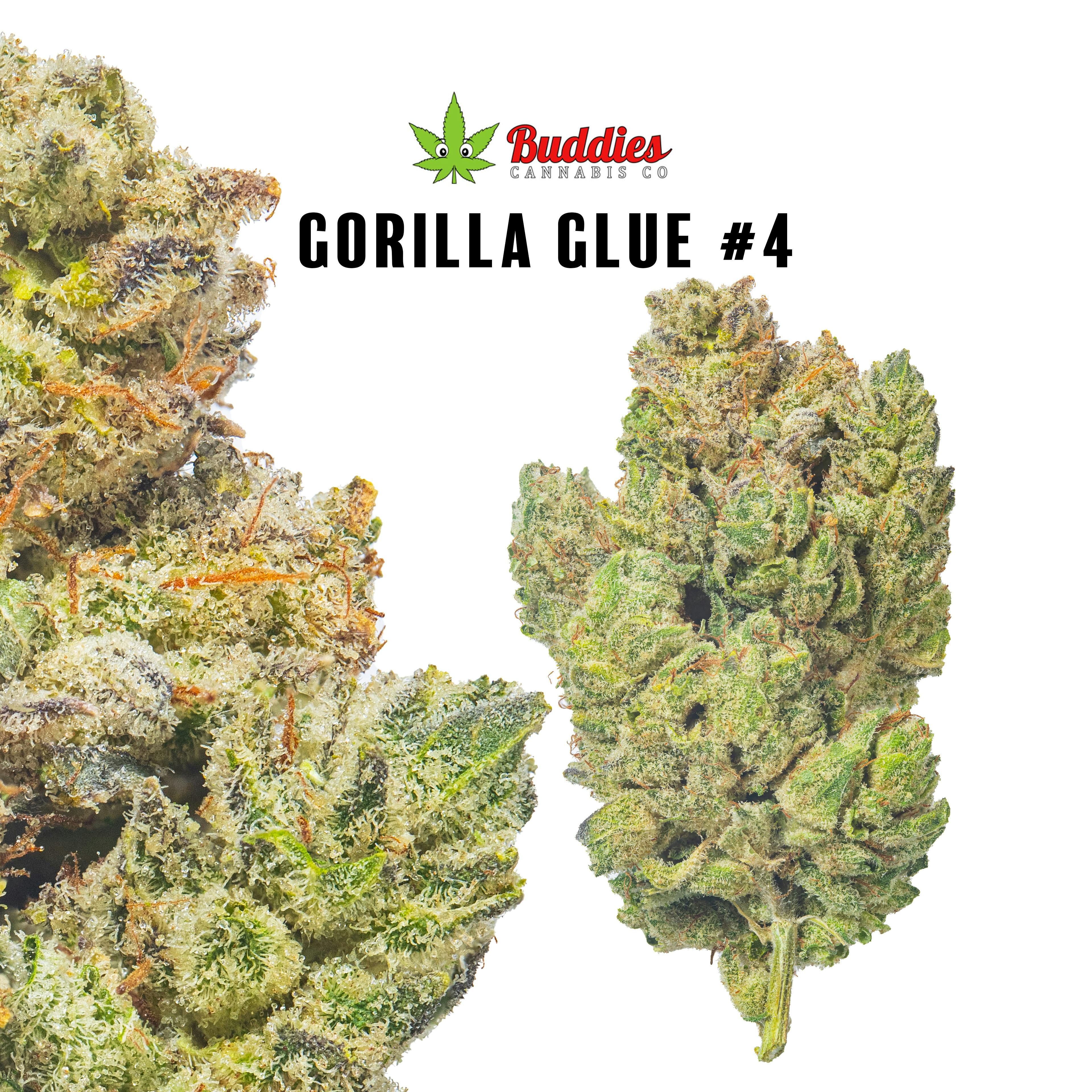 A Gg4