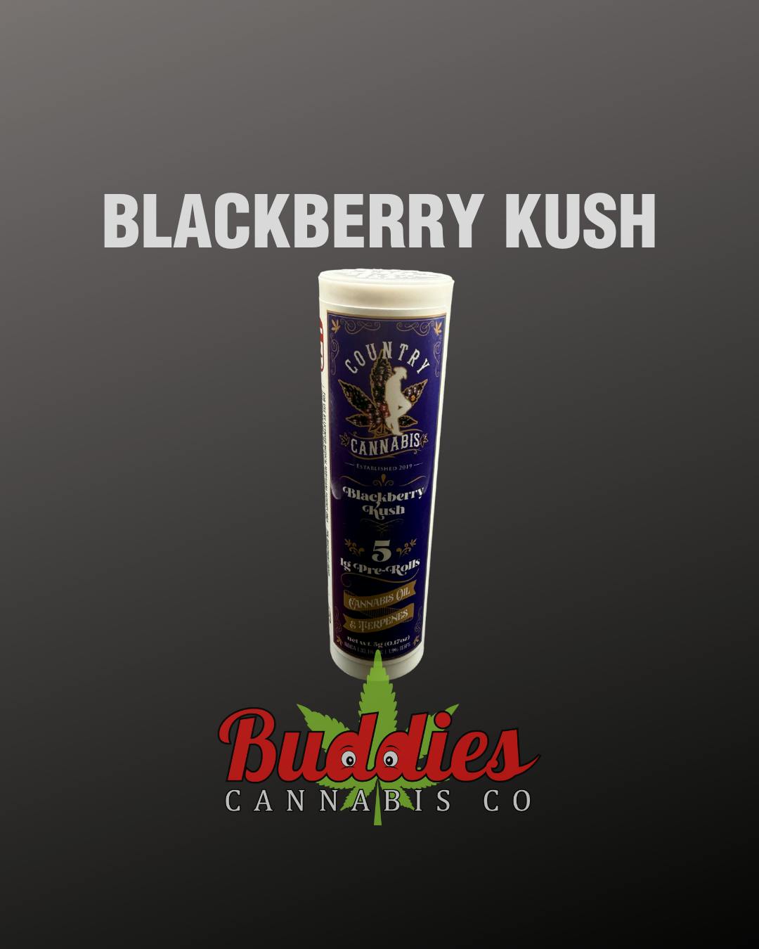 Blackberry | Infused Pre-Roll | 1G | 5pk by Country Cannabis