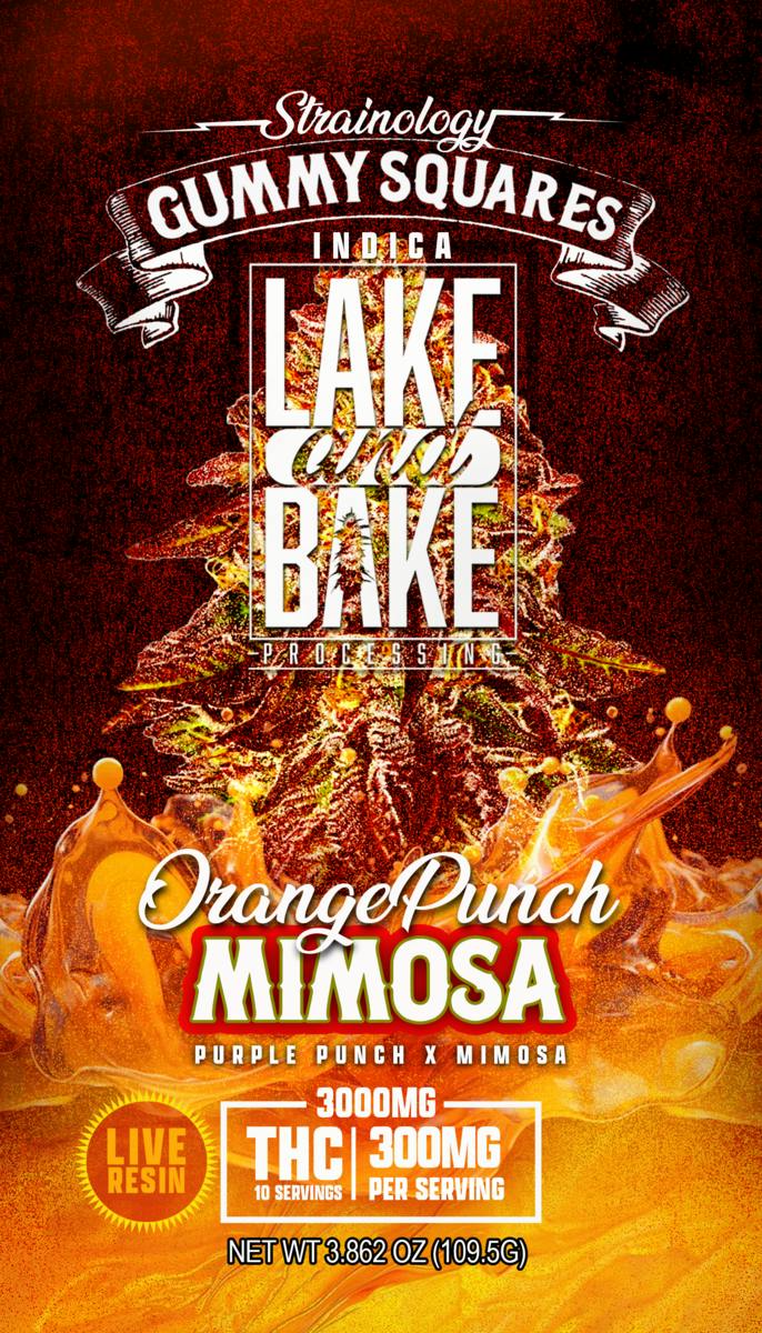 Lake Bake Orange Punch Mimosa