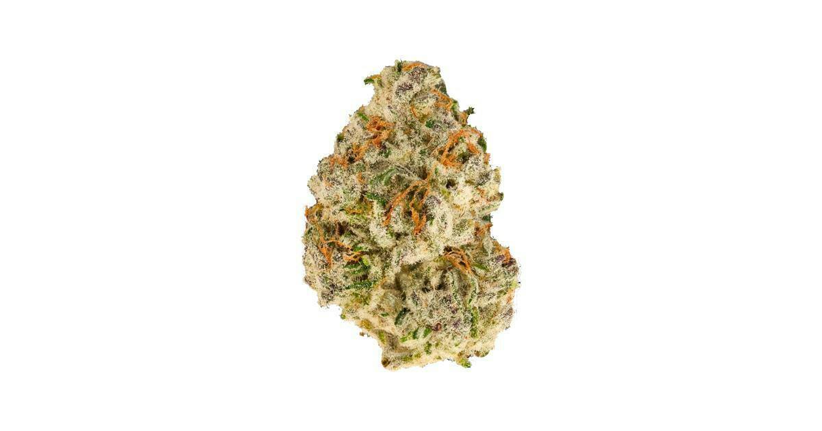 C Truffaloha