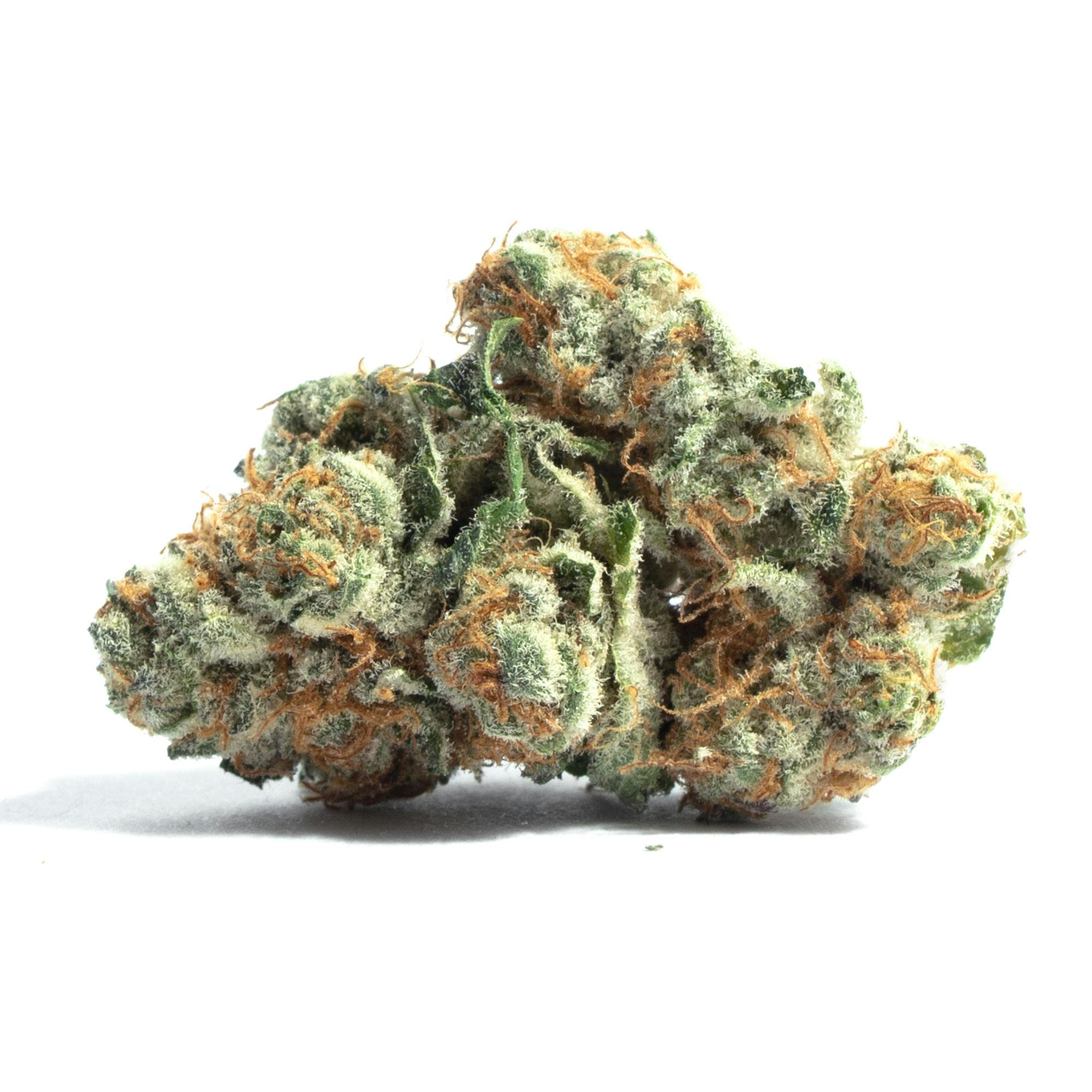 C Truffle Treat