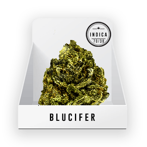 Bud - Purple Rain 19.7% THC