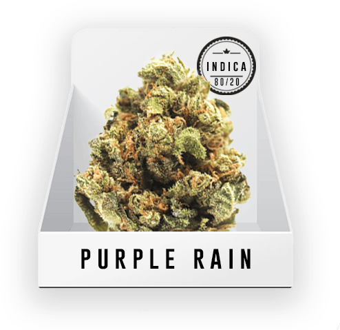Bud Purple Rain