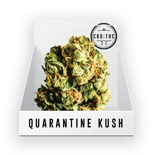 Bud - Quarantine Kush - 7.25% THC 12.5% CBD