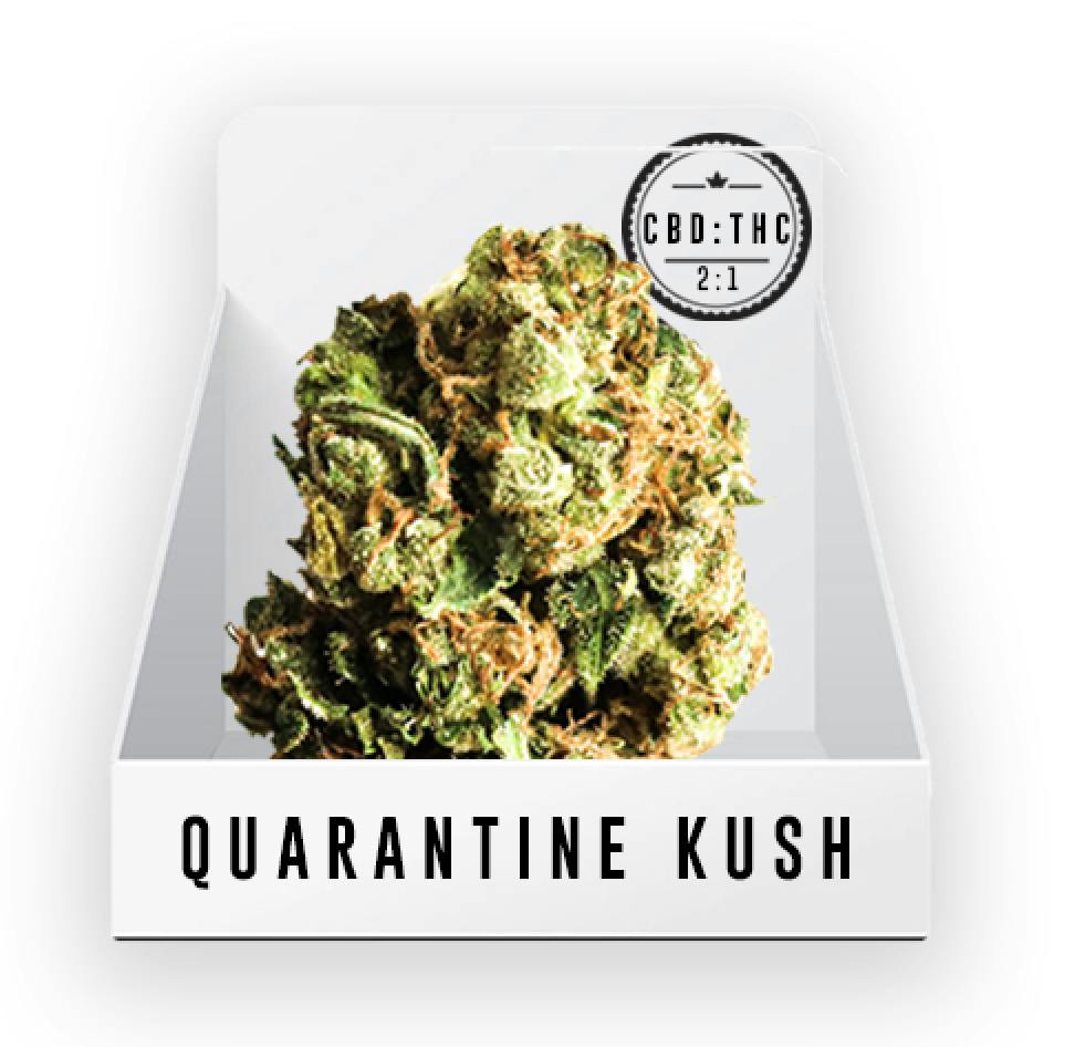 Bud (Top Shelf) - Quarantine Kush - 7.1%-7.3%THC 13.5%-14.1%CBD