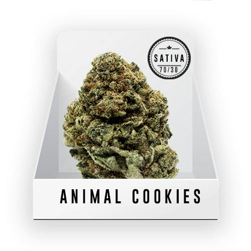 Bud - (Top shelf) - Animal Cookies