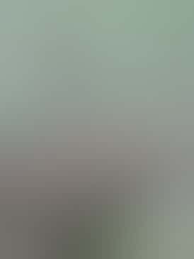 Cherry Apple Fritter