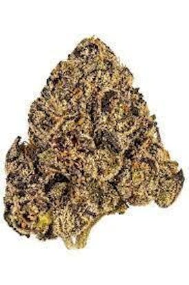 White Runtz Flower