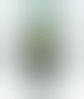 Bananaconda-Premium Rosin