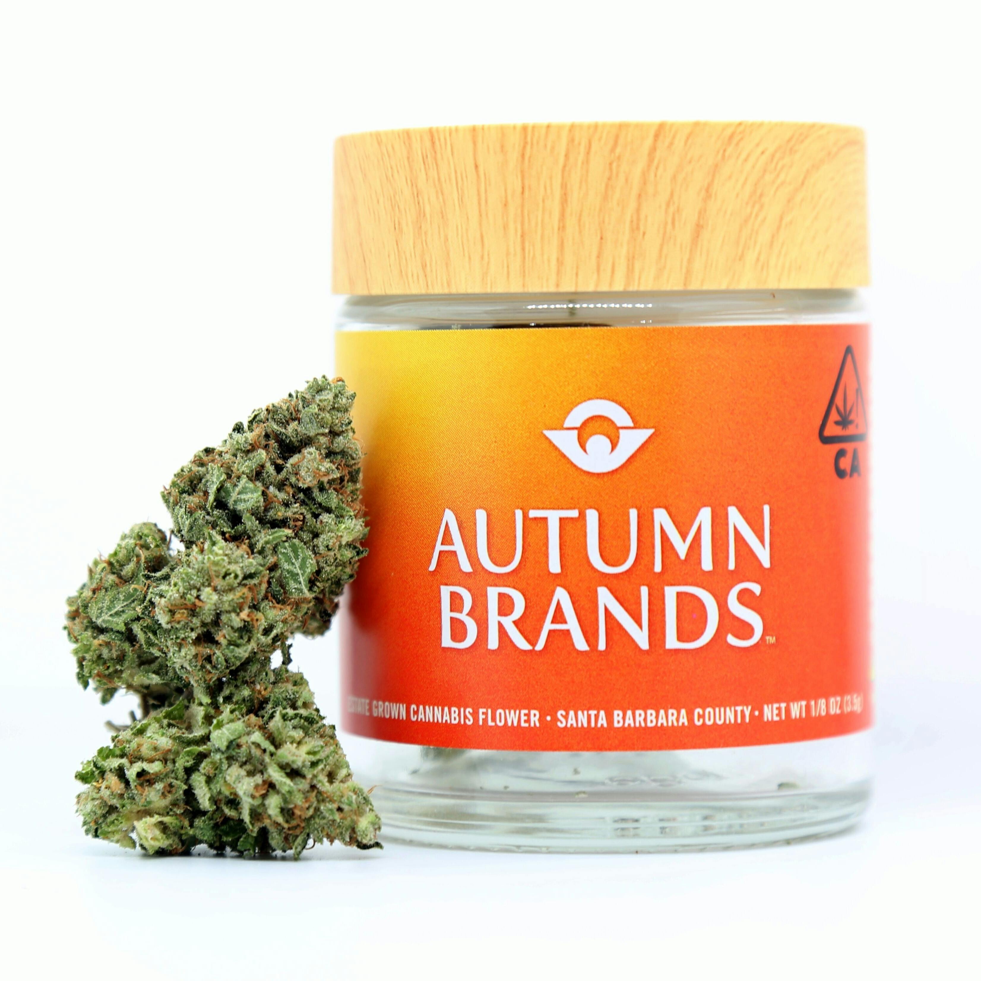 Smackers by Autumn Brands