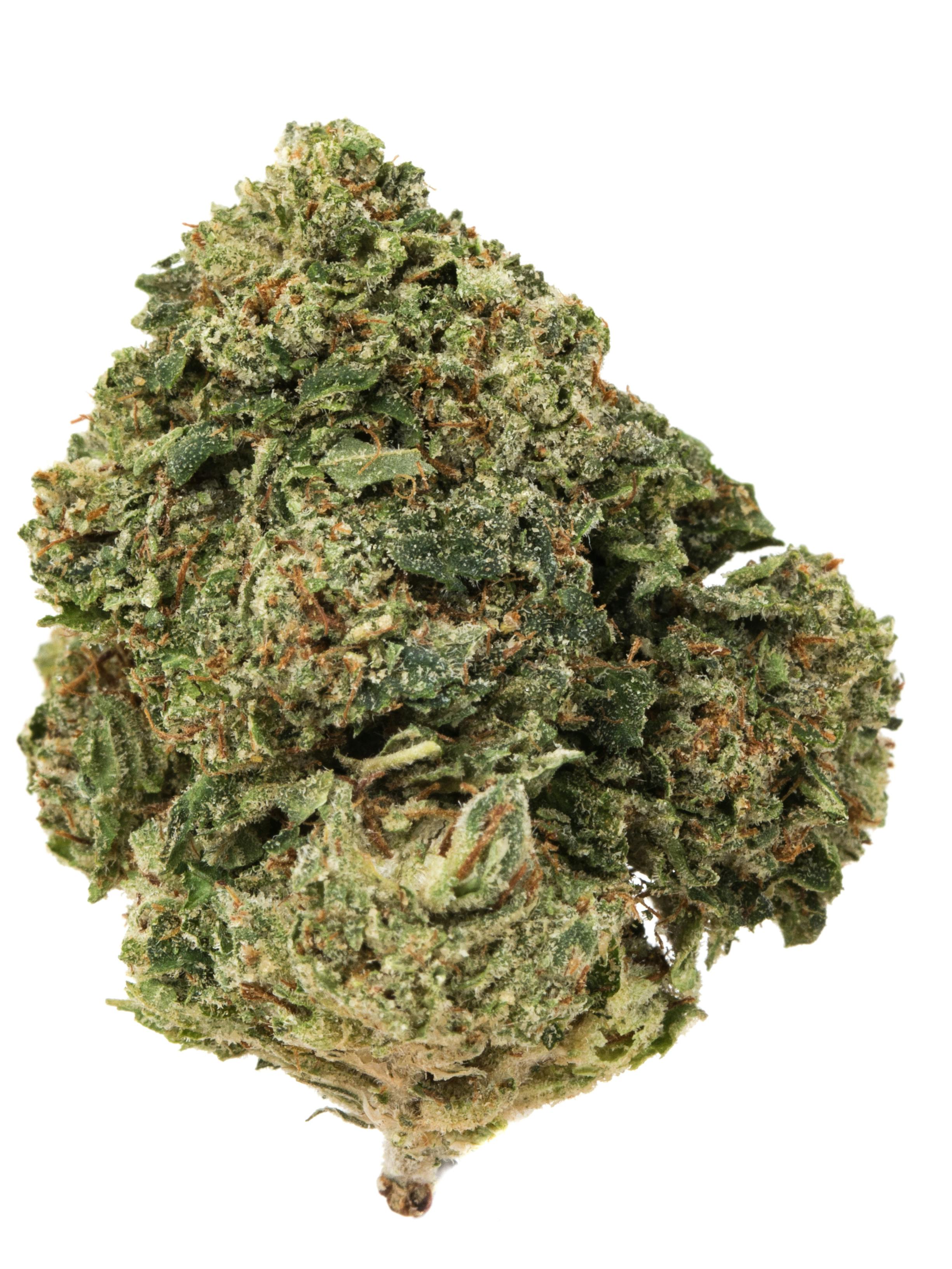 Sticky — STICKY 3.5G