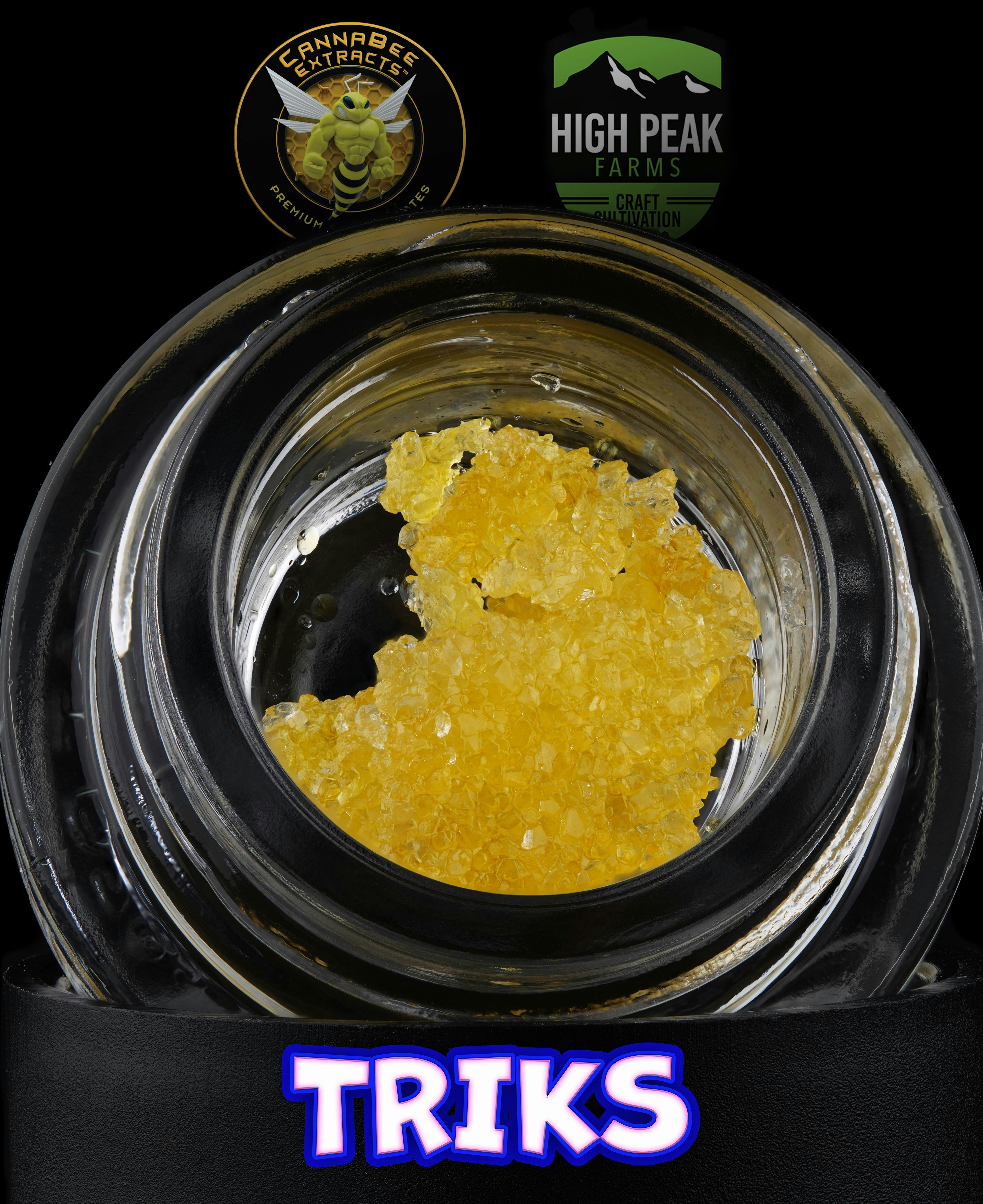TRIKS Rec