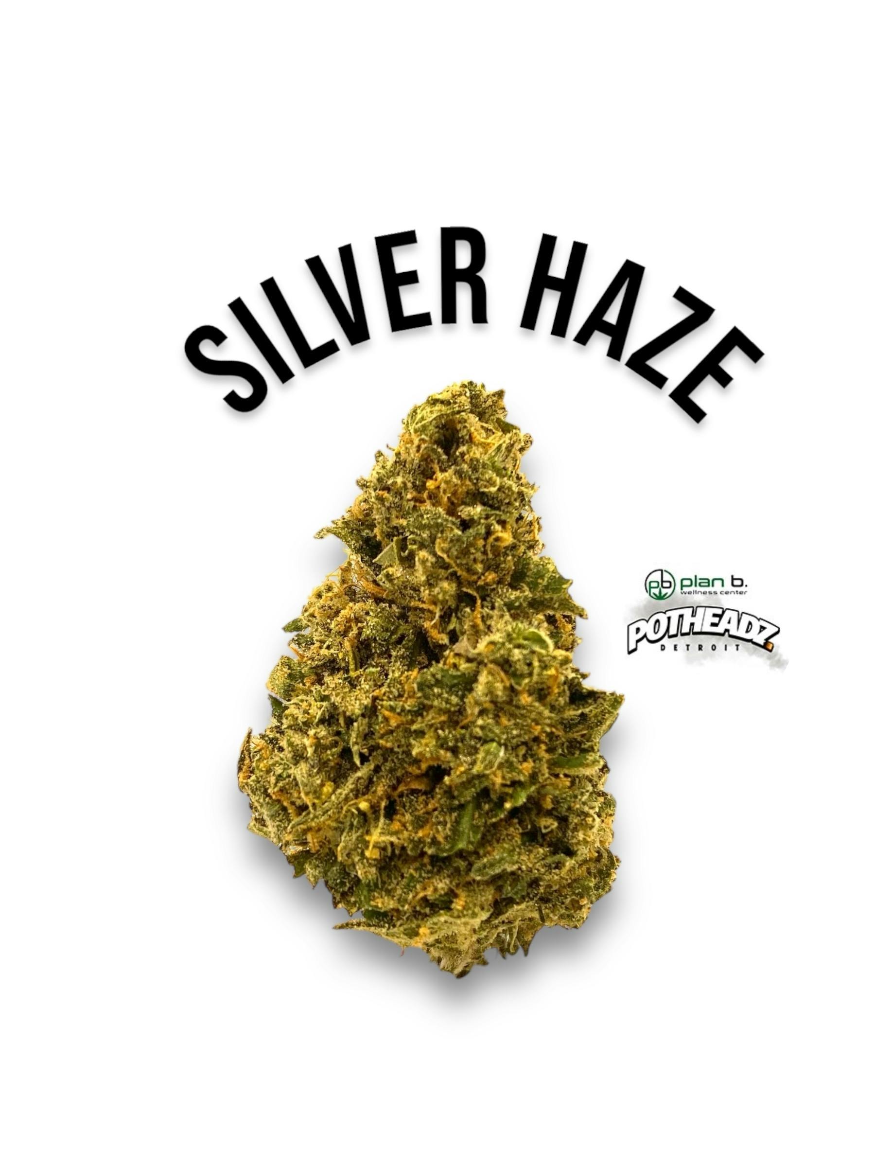 Silver Haze