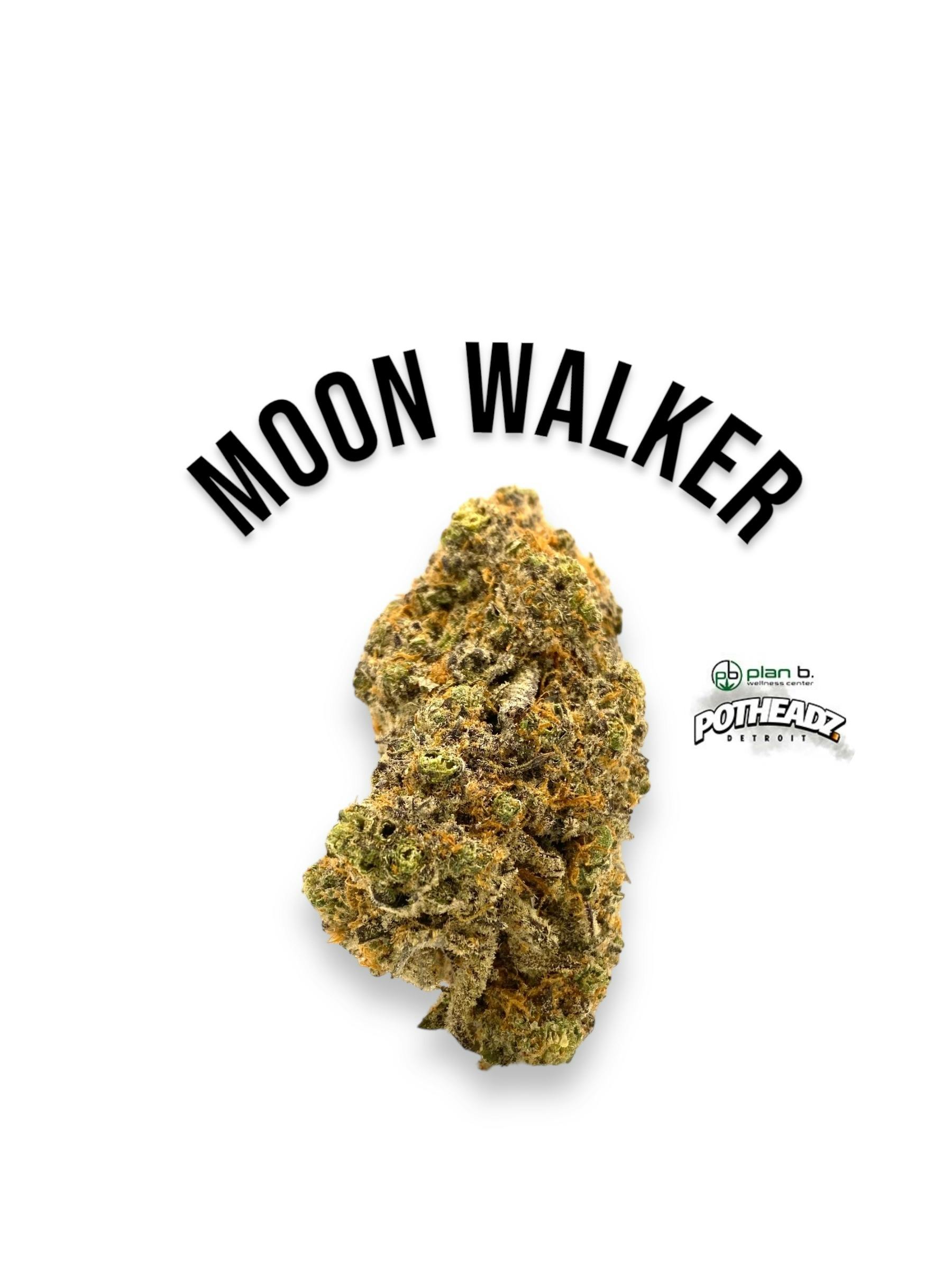 Moon Walker