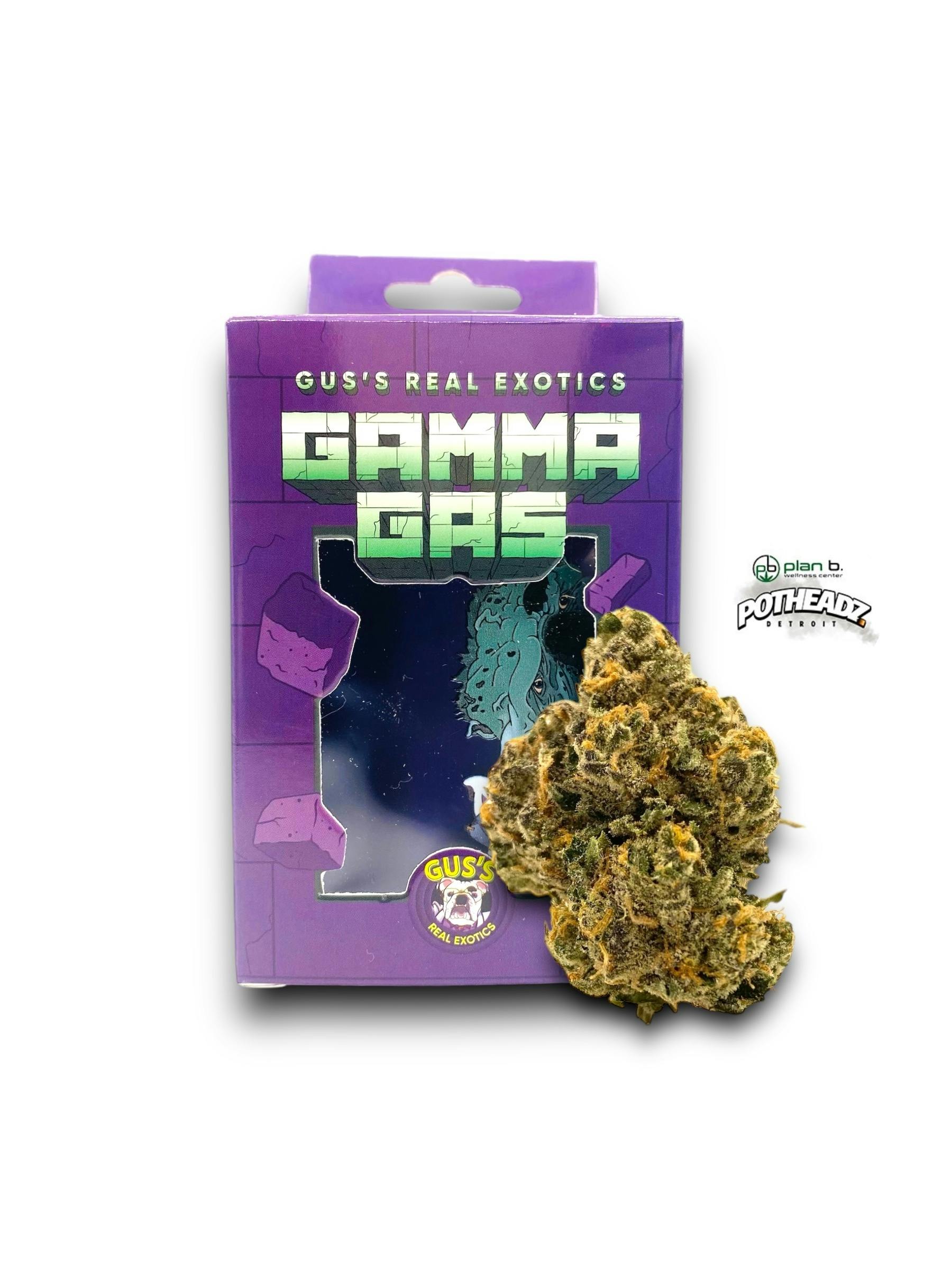 GUS'S EXOTIC - GAMMA GUS 3.5G PRE-PACK