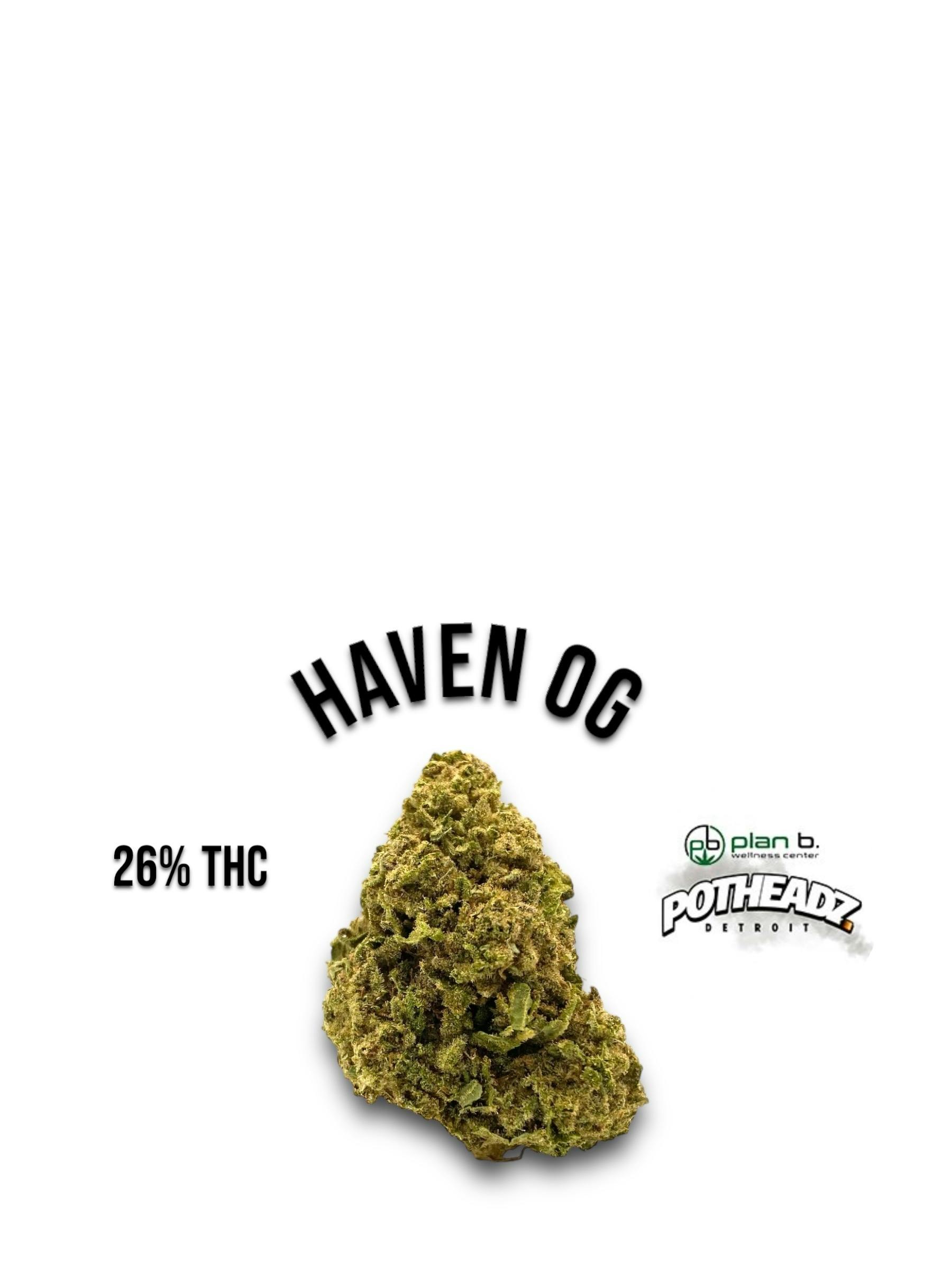 True Health - Haven OG