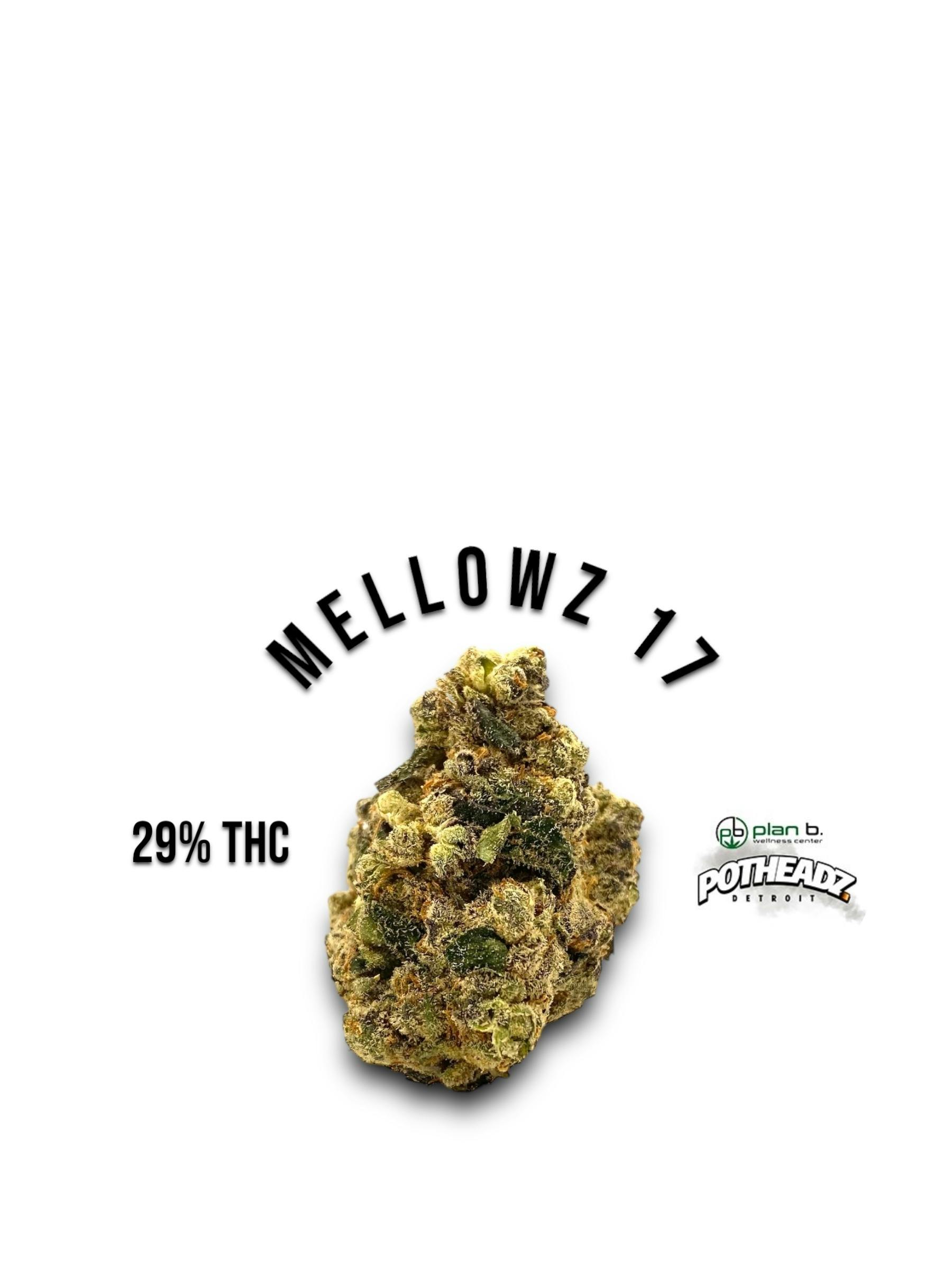 Goldkine - Mellowz 17 - Bluk Flower