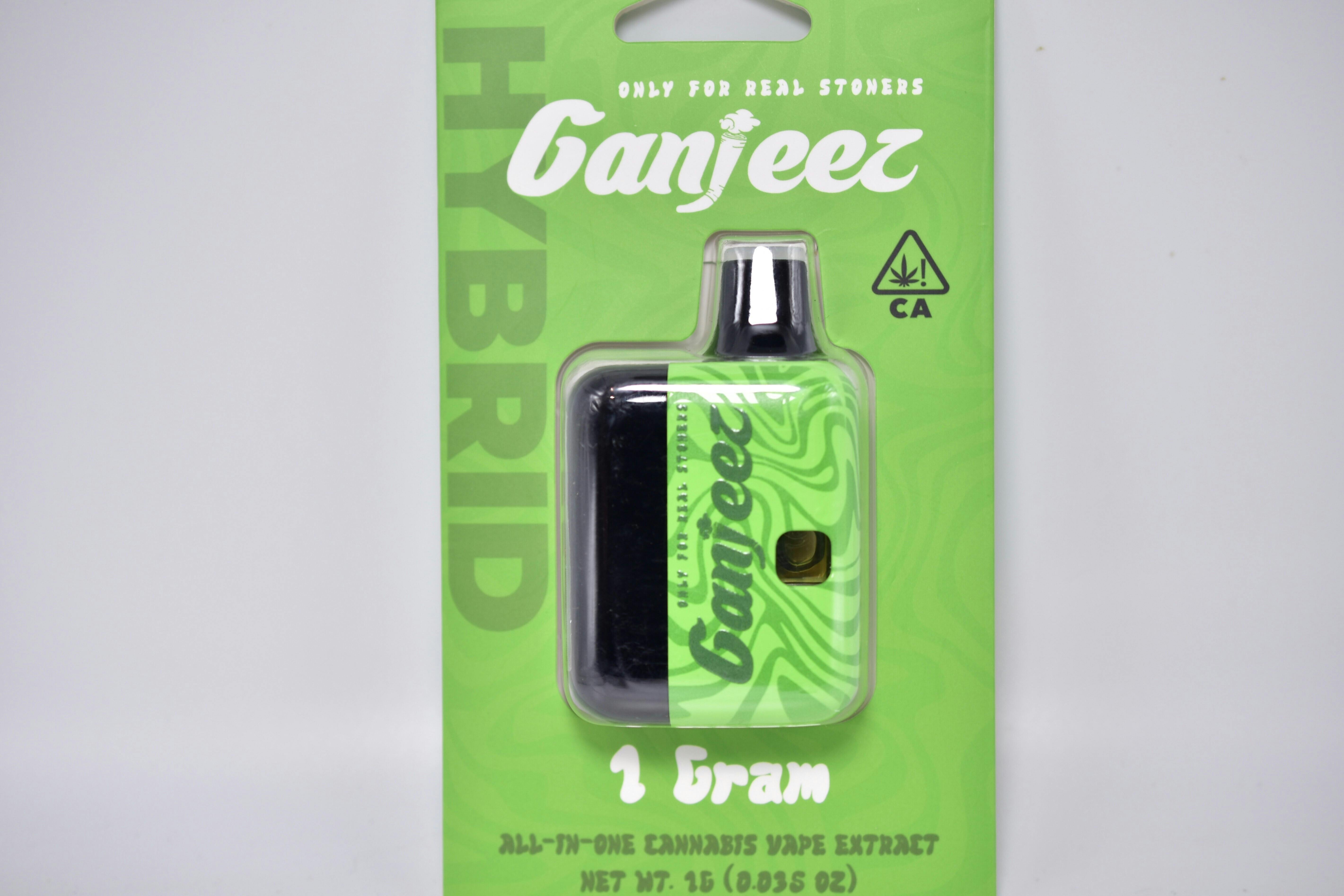 Ganjeez / Boysenberry 1G All In One