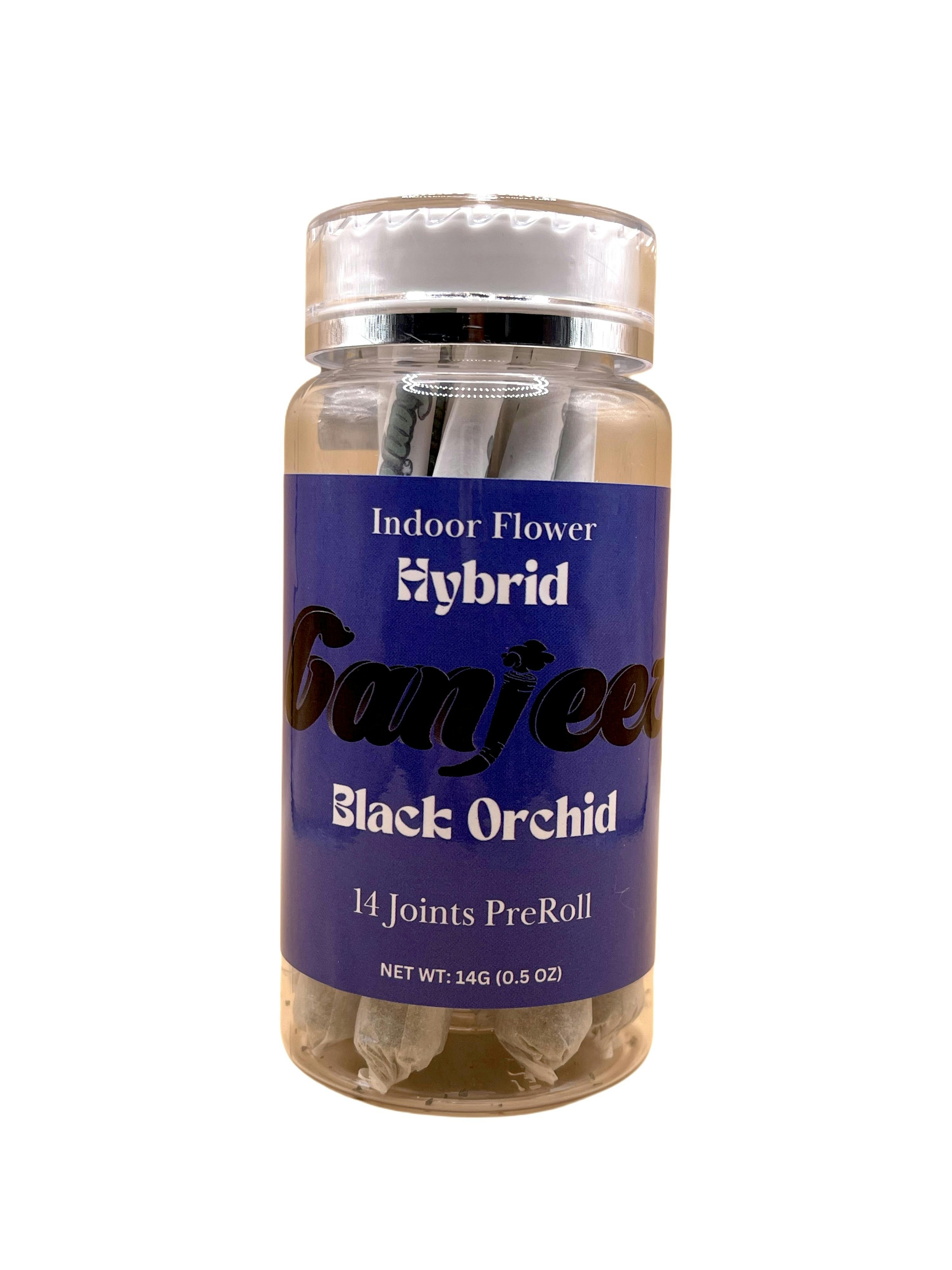 Pr Black Orchid