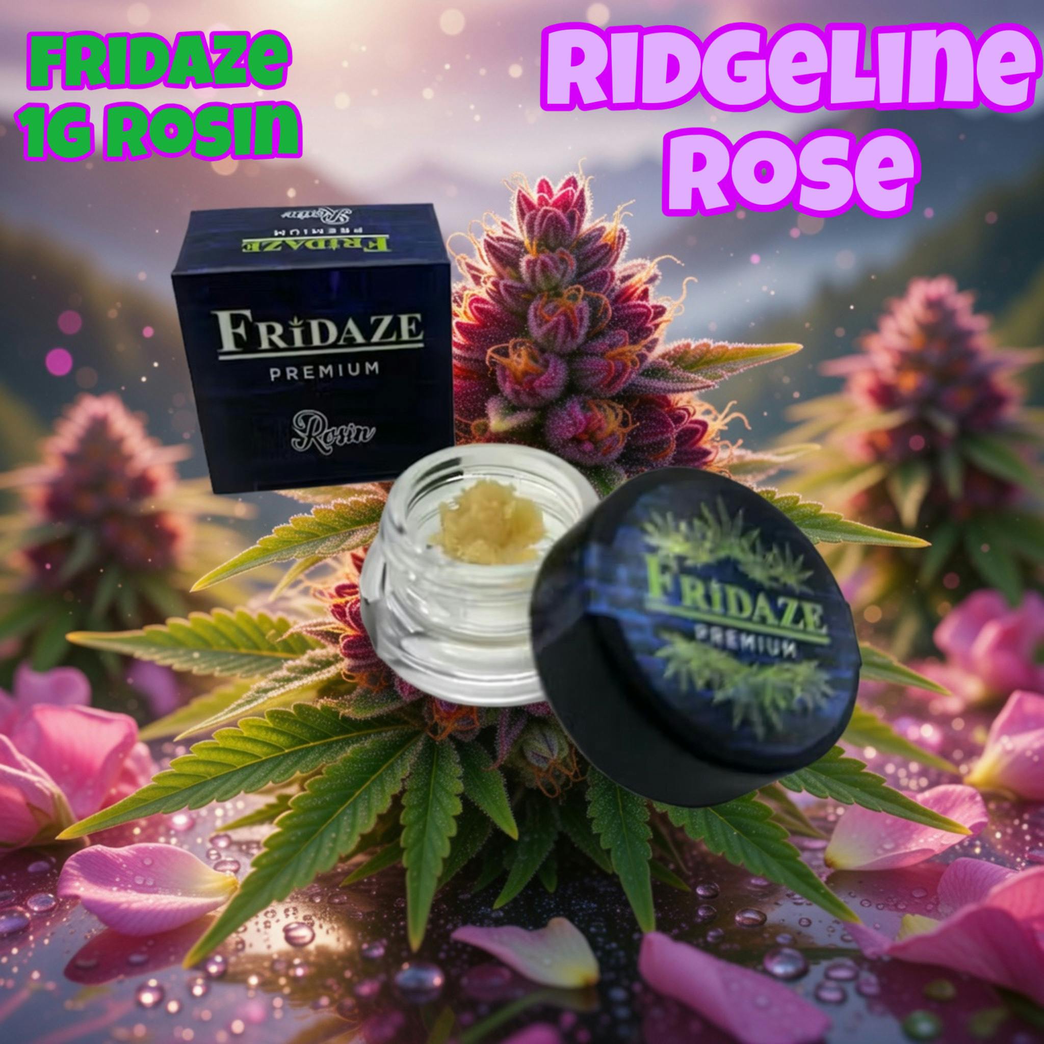 Fridaze: Ridgeline Rose