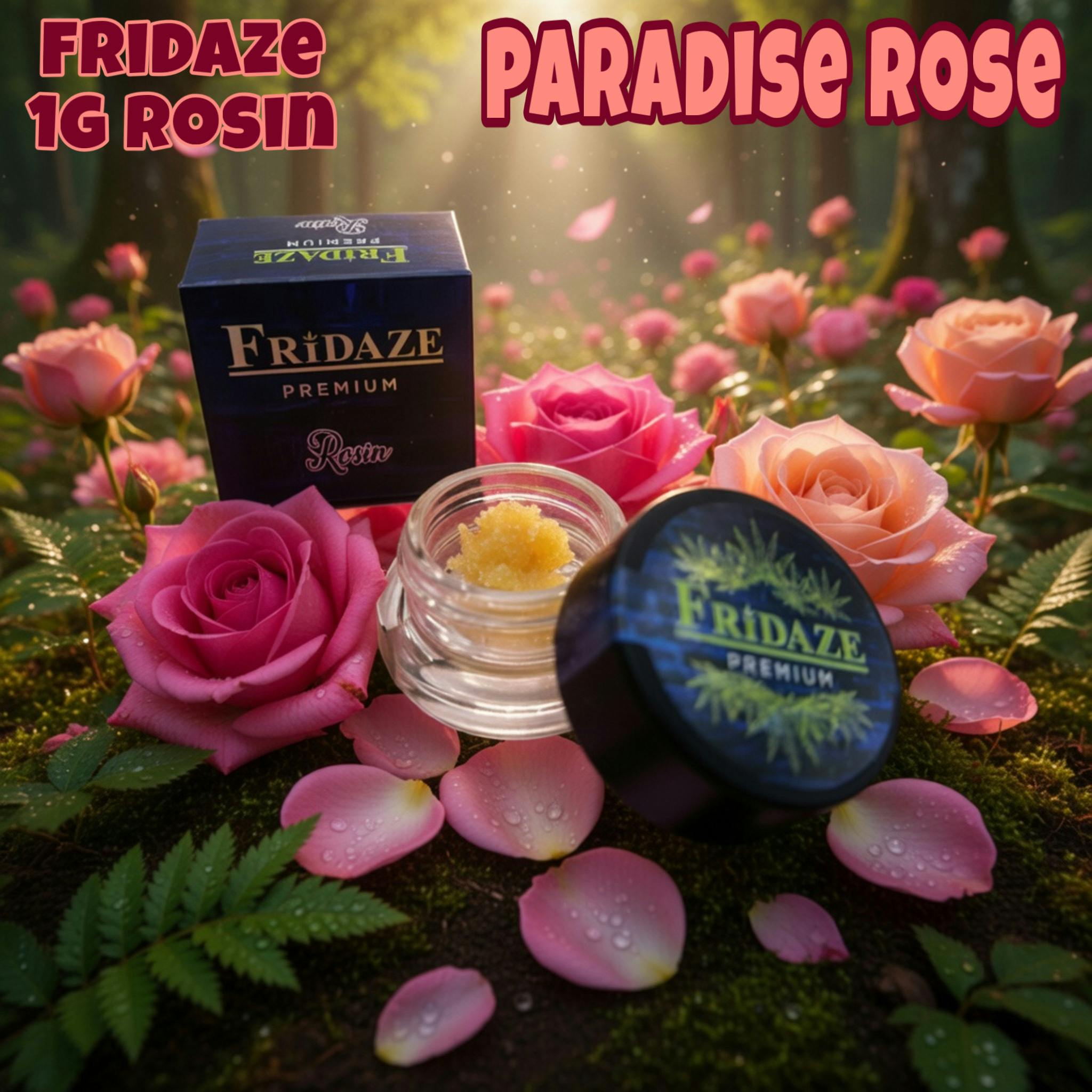 Fridaze: Paradise Rose