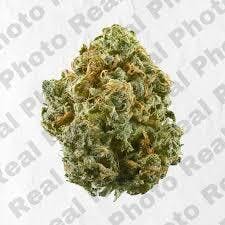 Sour Dogz