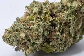 Todays Special - Blue Sky