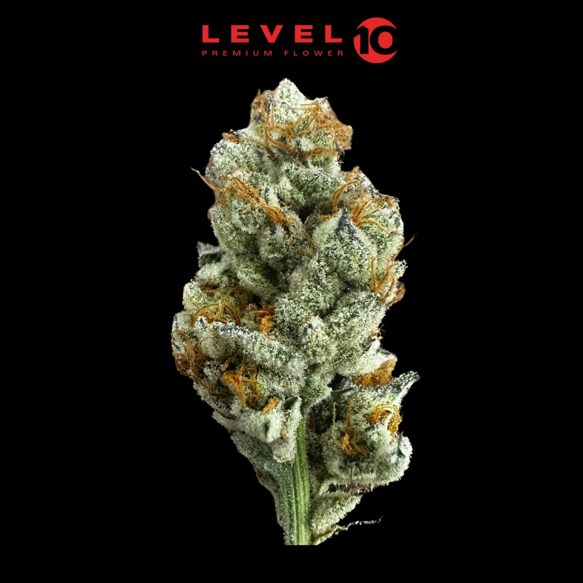 Level 10 - Topanga Canyon - Flower