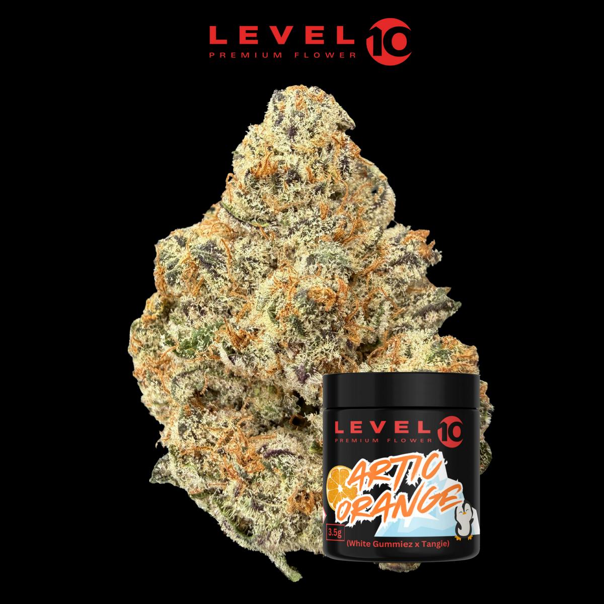 Level 10 - Artic Orange - Pre-Pack 8th