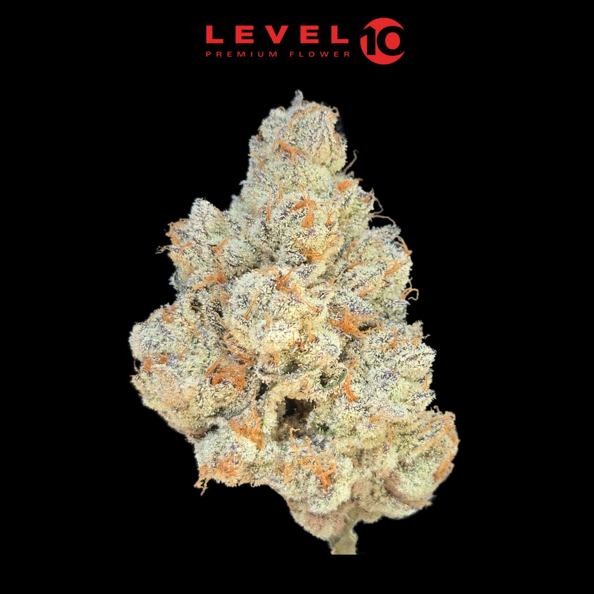 Level 10 - Kevin Garnett - Flower