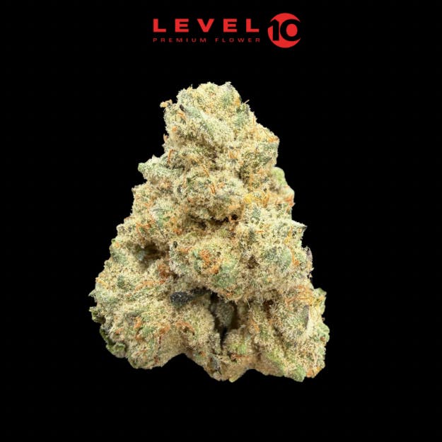 Level 10 - Animal Tsunami - Flower