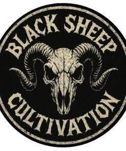 Black Sheep - Zuper Plushers