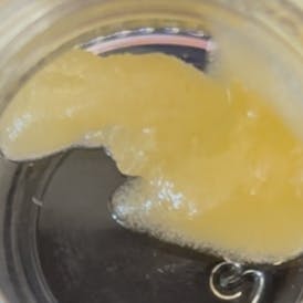 GOLD NUTS BATTER 1G