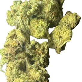 HOTTIE COCKTAIL 14G HYBRID (MID-SHELF)