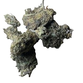 TATERZ KUSH 5G HYBRID (TOP-SHELF)