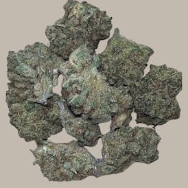 MANDARIN COOKIES 7G SATIVA (TOP-SHELF)