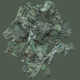 DOUBLE OG SOUR 3.5G INDICA (TOP-SHELF)