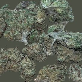 LIGHTING 14G INDICA (MID-SHELF)