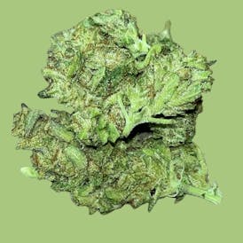 LEMON TREE 3.5G HYBRID (TOP-SHELF)