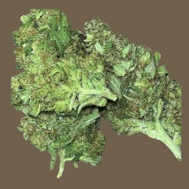 GORILLA X PBB 3.5G HYBRID (TOP-SHELF)