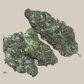 NEW!! GORILLA FLIP 14G HYBRID (TOP-SHELF)